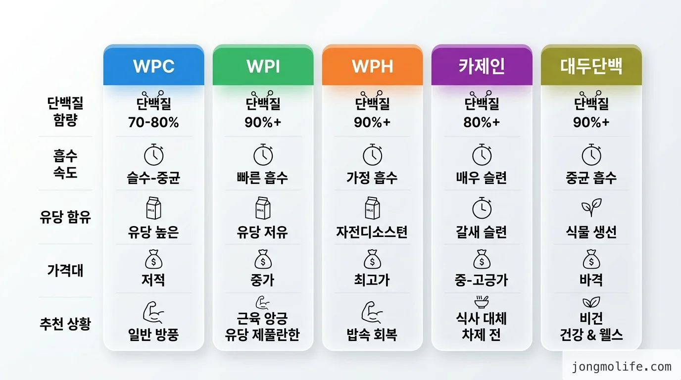 comparison 비교 인포그래픽